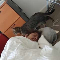 We're Here For A Good Time (Not A Long Time)