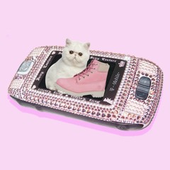 APPLE INTENTIONALLY SLOWED DOWN MY SIDEKICK