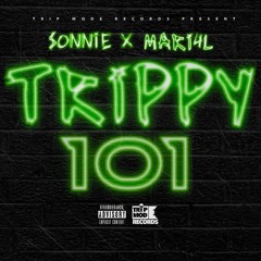 Trippy 101 [Prod. MMPBEATS]