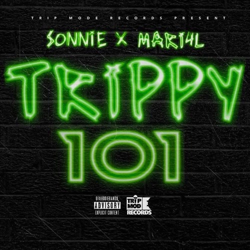 Trippy 101 [Prod. MMPBEATS]