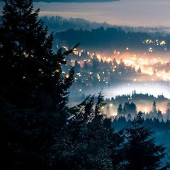 d u s k t i l l d a w n.