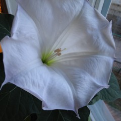 hittat dig extra allt