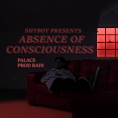shyboy - palace (prod. rain)