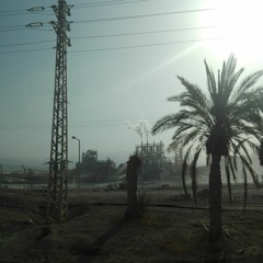 Delle/Kev - ředkev/důlek