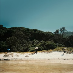 Albrecht La'Brooy - Tidal River (clips)
