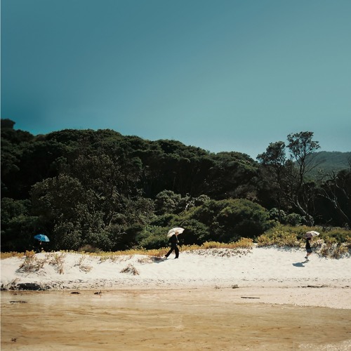Albrecht La'Brooy - Tidal River (clips)