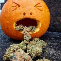 Do Not Stop Me - (new version with Band)