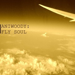 Fly Soul