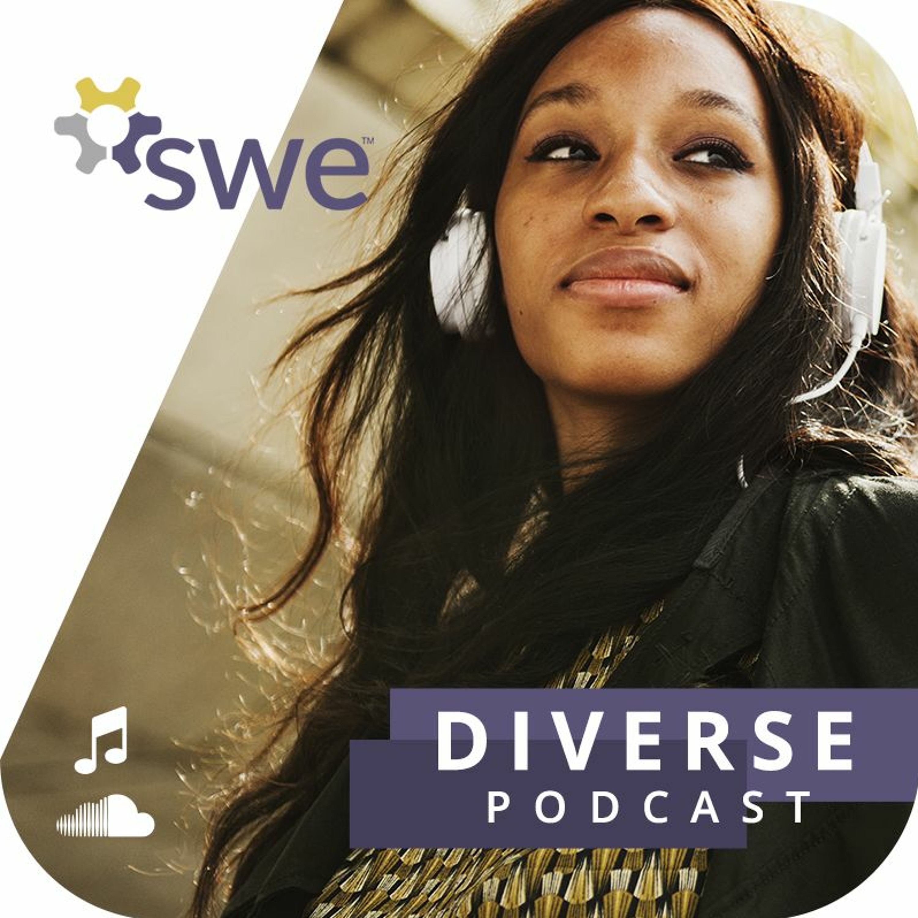 Diverse Episode 29: SWE Governance Update episode artwork
