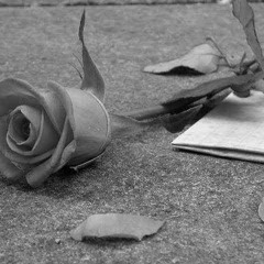 test minimal by David pou