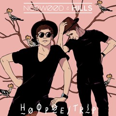 Premiere: Norwood & Hills - Hoopoe [Night Beast]