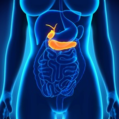 Gallbladder Health - Radio Show Archive