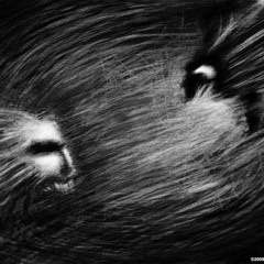 Alliance (prod. PURPXANEZ)