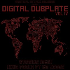 Warrior - Mr Zebre Rework [DIGITAL DUBPLATE]