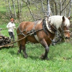 Jean-Yves, l'homme de la nature