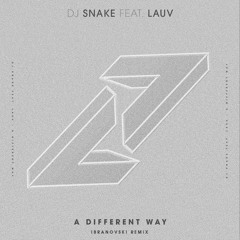 DJ Snake ft. Lauv - A Different Way (Ibranovski Remix)