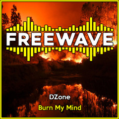 DZone - Burn My Mind