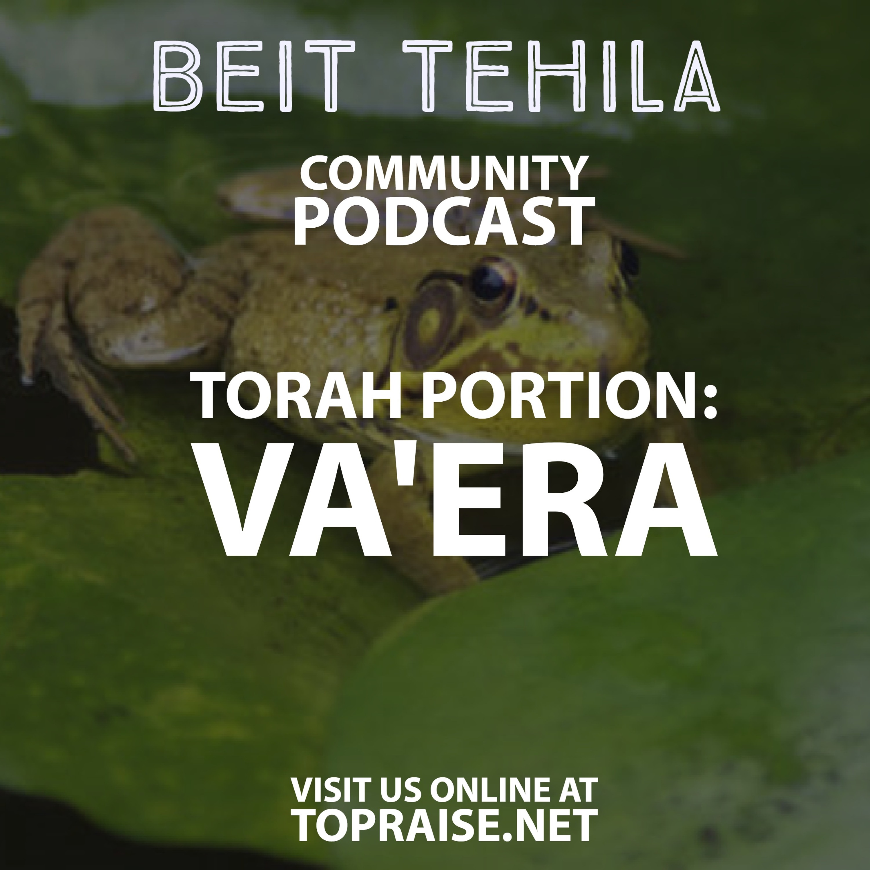 Ep. 18 - Torah Portion: Va'era - Pastor Nick Plummer and Ryan Cabrera episode artwork