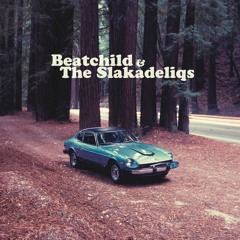 Beatchild & The Slakadeliqs - Heavy Rockin' Steady (Album Sampler)