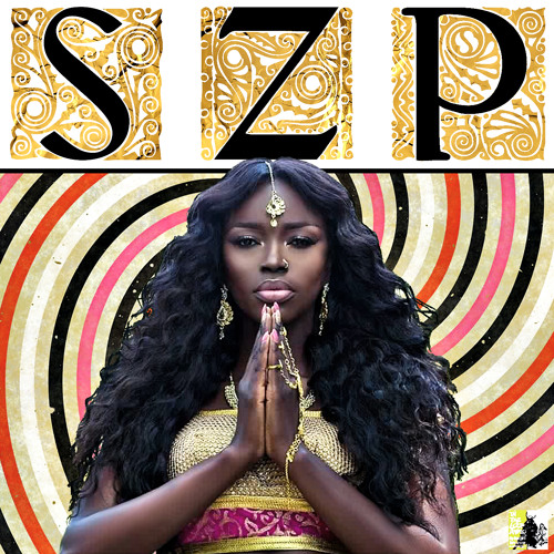 S.Z.P. #01 [Rare Groove Anthology] feat. Cinturón Negro, Curtis Metcalf, Erotnas and ZEROSYSTEM