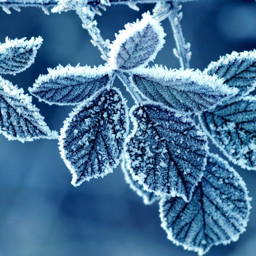 JANUARY