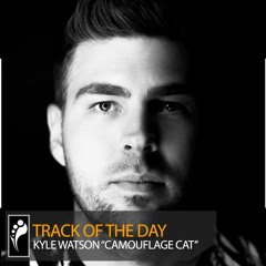 Track of the Day: Kyle Watson “Camouflage Cat”