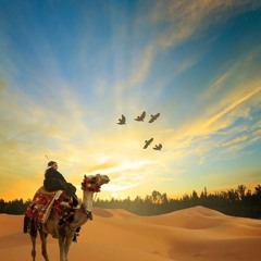 المتنبي •• لكل امرئ من دهره ما تعودا