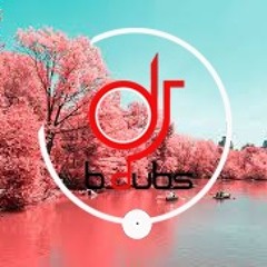 The Forgotten Mix (DJ B DUBS)