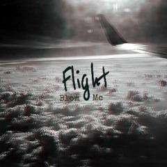Flight