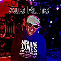 Aus Ruhe ( Free Parodie )