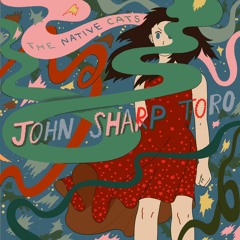 The Native Cats - Soft Chambers