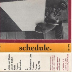 Deposit by schedule.