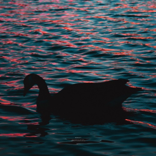 Adrift