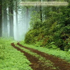 SAMOAN MEDLEY MASHUP (NEECE)