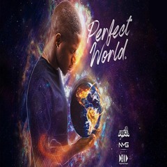Voice - Perfect World