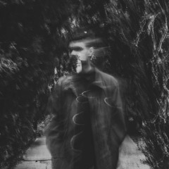 La Casa Caída  - la casa de los espejos