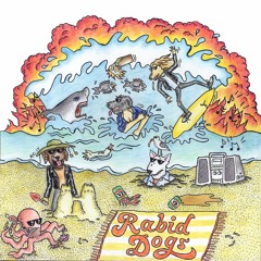 RABID DOGS - No Fun (from self-titled 7"EP)