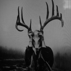 Q LAZZARUS - Goodbye Horses (KULT of YOUTH Remix)