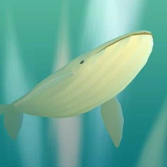 52Hz Whale