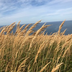 Special Edition: A Visit from Ira Glass