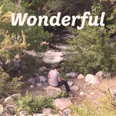 Wonderful (the way I feel)
