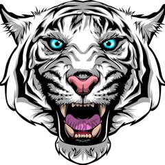 Wildcat's Outro song