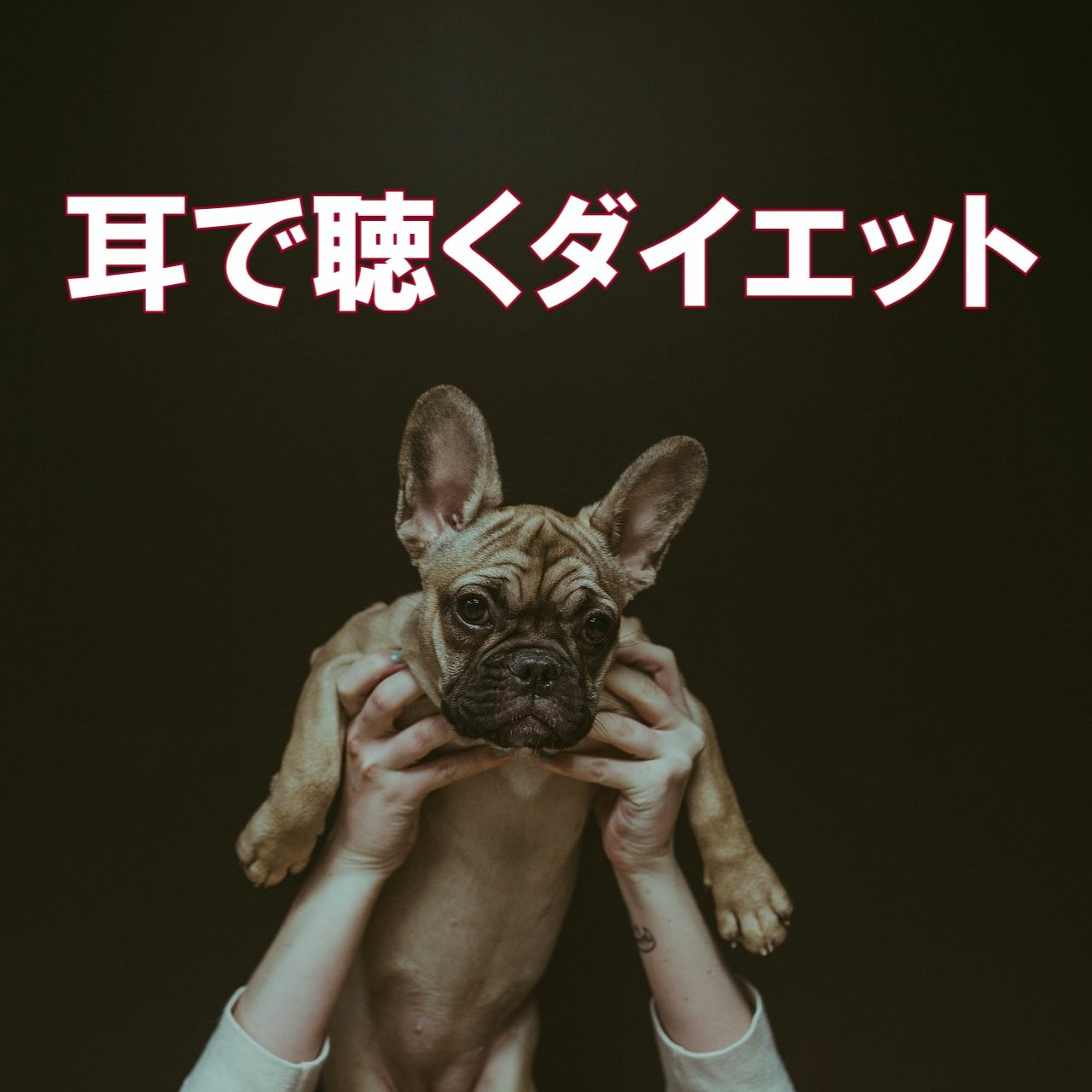 第4回 夢を叶えるためのダイエット!