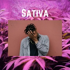 Sativa