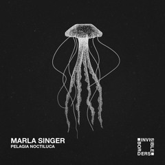 IBR003 - Marla Singer - Modulate ( Original Mix ) OUT NOW