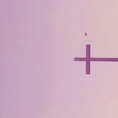 6.대칭