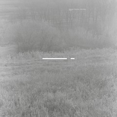 Stanislav Tolkachev - Blue Mood / Absolute Limit (IRIS002)