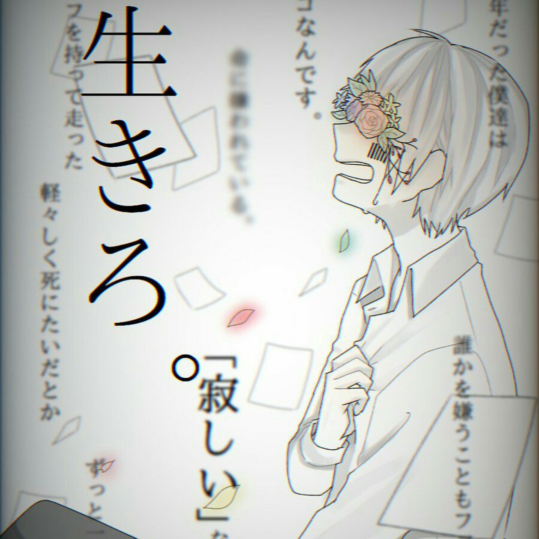 まふまふ まとめ売り 2412090800-yh-010-1200x630.jpg