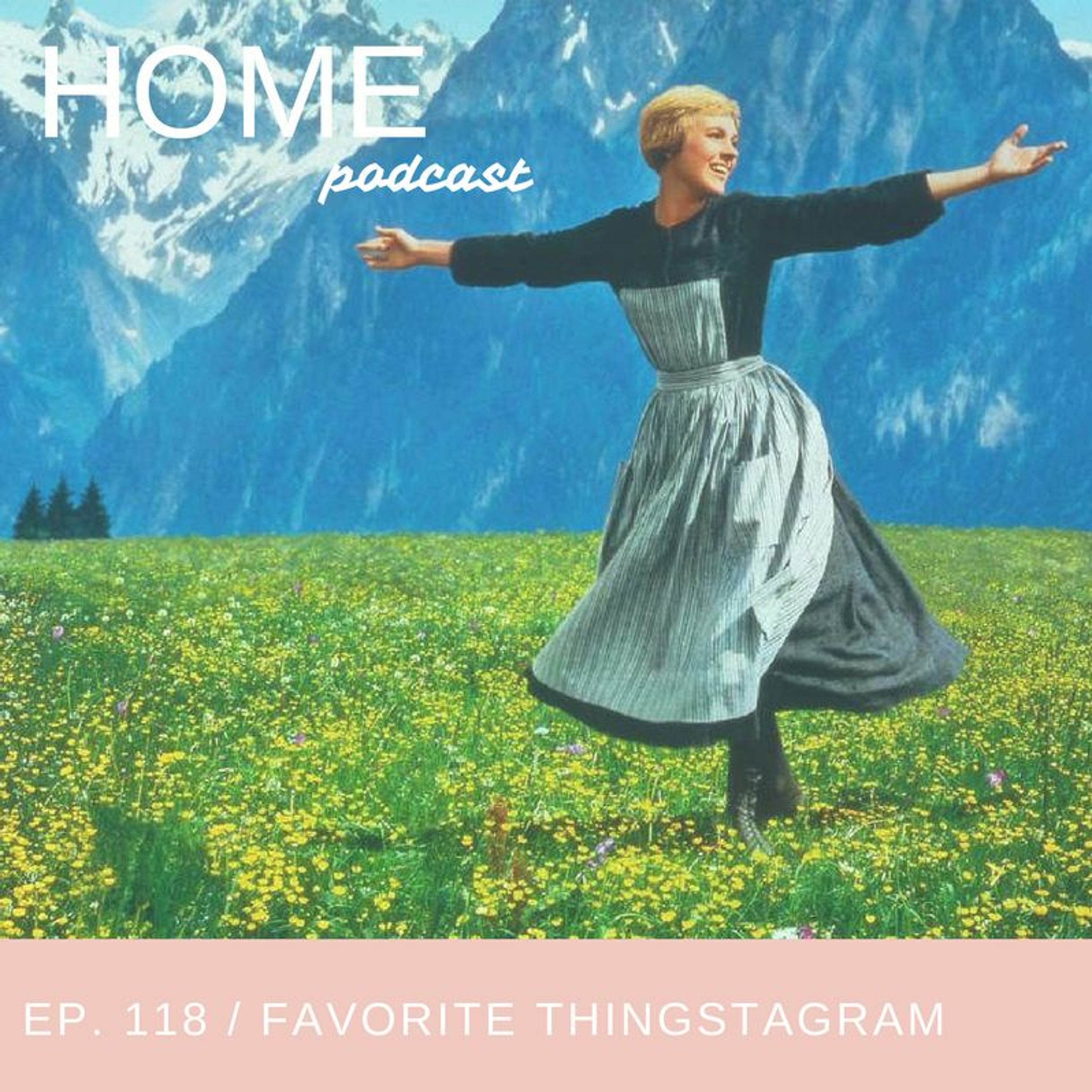 cover of episode Episode 118: Favorite Thingstagram