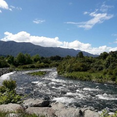 Frágil, doliente, cínico y valiente